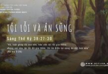 Tội Lỗi Và Ân Sủng – 8/5/2024