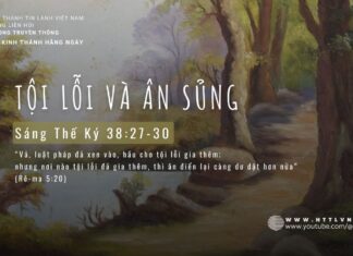 Tội Lỗi Và Ân Sủng – 8/5/2024