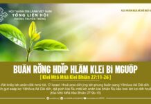 Ƀuăn Rơ̆ng Hdĭp Hlăm Klei Bi Mguôp – 14/5/2024