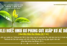 Klei Hơêč Hmưi Kơ Phung Gưt Asăp Kơ Aê Diê – 15/5/2024