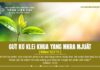 Gưt Kơ Klei Khua Yang Mkra Mjuăt – 17/5/2024