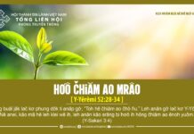 Hơô Čhiăm Ao Mrâo – 28/5/2024