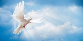 QUYỀN NĂNG THÁNH LINH ĐỂ TRUYỀN BÁ PHÚC ÂM