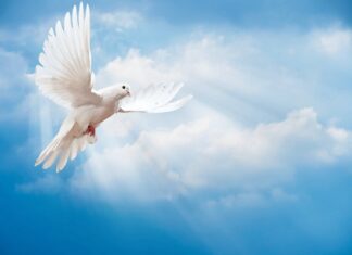 QUYỀN NĂNG THÁNH LINH ĐỂ TRUYỀN BÁ PHÚC ÂM