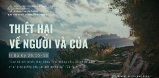Thiệt Hại Về Người Và Của – 10/6/2024