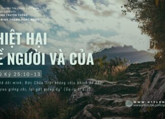 Thiệt Hại Về Người Và Của – 10/6/2024