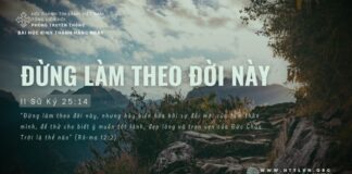 Đừng Làm Theo Đời Này – 11/6/2024