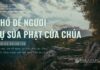 Chớ Dể Ngươi Sự Sửa Phạt Của Chúa – 12/6/2024