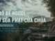 Chớ Dể Ngươi Sự Sửa Phạt Của Chúa – 12/6/2024