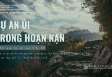 Sự An Ủi Trong Hoạn Nạn – 14/6/2024