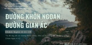 Đường Khôn Ngoan, Đường Gian Ác – 16/6/2024