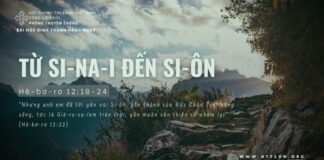 Từ Si-na-i Đến Si-ôn – 18/6/2024