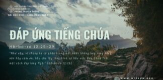 Đáp Ứng Tiếng Chúa – 19/6/2024