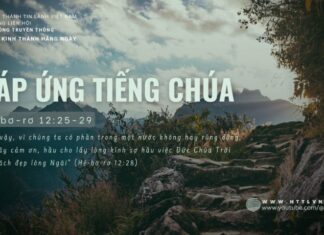 Đáp Ứng Tiếng Chúa – 19/6/2024