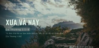 Xưa Và Nay – 20/6/2024