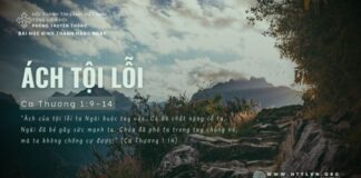 Ách Tội Lỗi – 21/6/2024