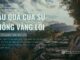 Hậu Quả Của Sự Không Vâng Lời – 24/6/2024
