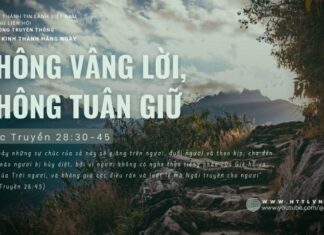 Không Vâng Lời, Không Tuân Giữ – 26/6/2024