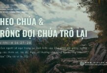 Theo Chúa Và Trông Đợi Chúa Trở Lại – 28/6/2024