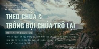 Theo Chúa Và Trông Đợi Chúa Trở Lại – 28/6/2024