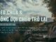 Theo Chúa Và Trông Đợi Chúa Trở Lại – 28/6/2024