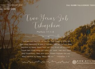 Tswv Yexus Lub Tshwjchim – 29/6/2024