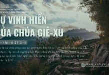Sự Vinh Hiển Của Chúa Giê-xu – 29/6/2024