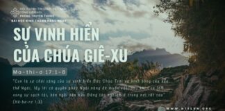 Sự Vinh Hiển Của Chúa Giê-xu – 29/6/2024