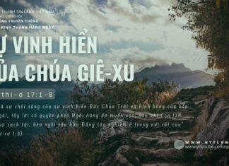 Sự Vinh Hiển Của Chúa Giê-xu – 29/6/2024