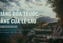 Giảng Hòa Trước, Dâng Của Lễ Sau – 3/6/2024