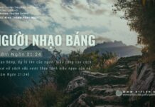 Người Nhạo Báng – 30/6/2024