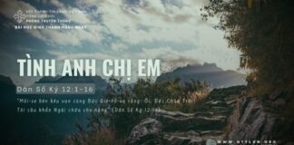 Tình Anh Chị Em – 5/6/2024