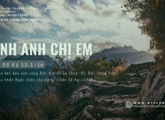 Tình Anh Chị Em – 5/6/2024