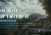 Giải Quyết Hợp Tình Hợp Lý – 6/6/2024
