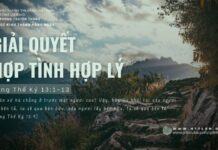 Giải Quyết Hợp Tình Hợp Lý – 6/6/2024