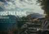 Được Tha Bổng – 7/6/2024