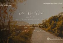Tau Tso Dim – 7/6/2024