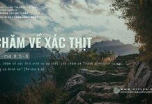 Chăm Về Xác Thịt – 8/6/2024