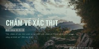 Chăm Về Xác Thịt – 8/6/2024