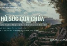 Nhờ Sức Của Chúa – 9/6/2024