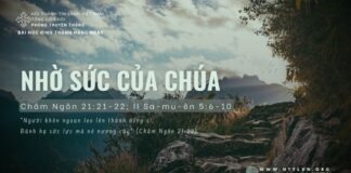 Nhờ Sức Của Chúa – 9/6/2024