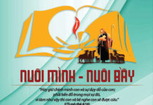 Thông Báo V/v: Truyền Hình Trực Tuyến Chương Trình Đại Hội Đồng Giáo Phẩm – Lần Thứ 11.