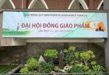 Công Tác Chuẩn Bị Cho Đại Hội Đồng Giáo Phẩm Lần Thứ 11