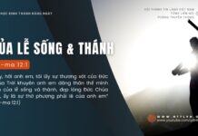 Của Lễ Sống và Thánh – 1/8/2024