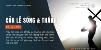 Của Lễ Sống và Thánh – 1/8/2024