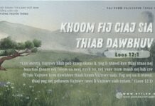 Khoom Fij Ciaj Sia thiab Dawbhuv – 1/8/2024