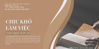Chịu Khó Làm Việc – 14/7/2024
