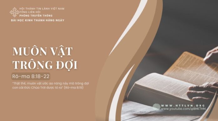 Muôn Vật Trông Đợi – 16/7/2024