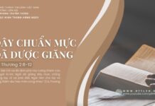 Dây Chuẩn Mực Đã Được Giăng – 23/7/2024