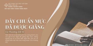 Dây Chuẩn Mực Đã Được Giăng – 23/7/2024